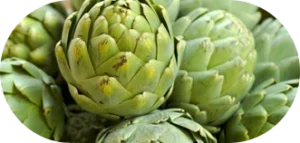 Artichoke Extract