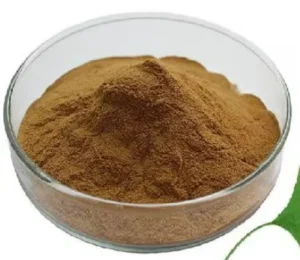 Ginkgo Biloba