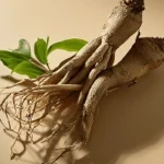 Resveratrol
