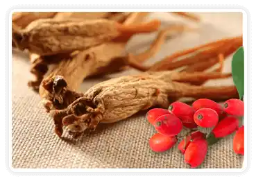 Berberine & Korean