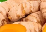Curcuma