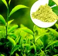 PrimalTRT Ingredient 6