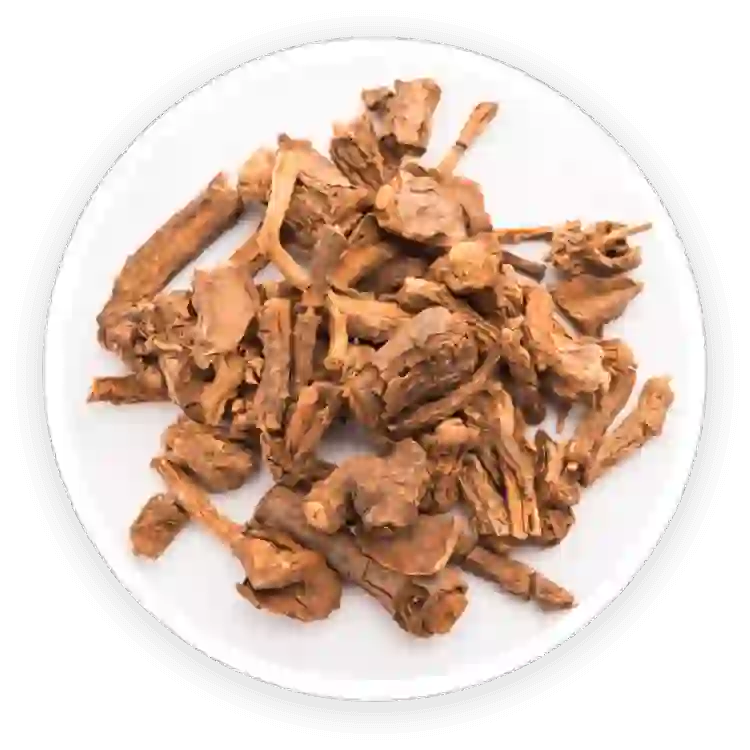 sarsaparilla Root & Asparagus